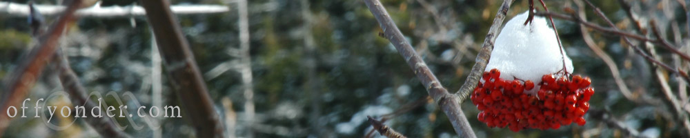 Off Yonder – Adventure Travel Stories - Seeing the world for what it is