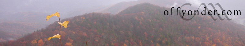 Off Yonder - Seeing the world for what it is