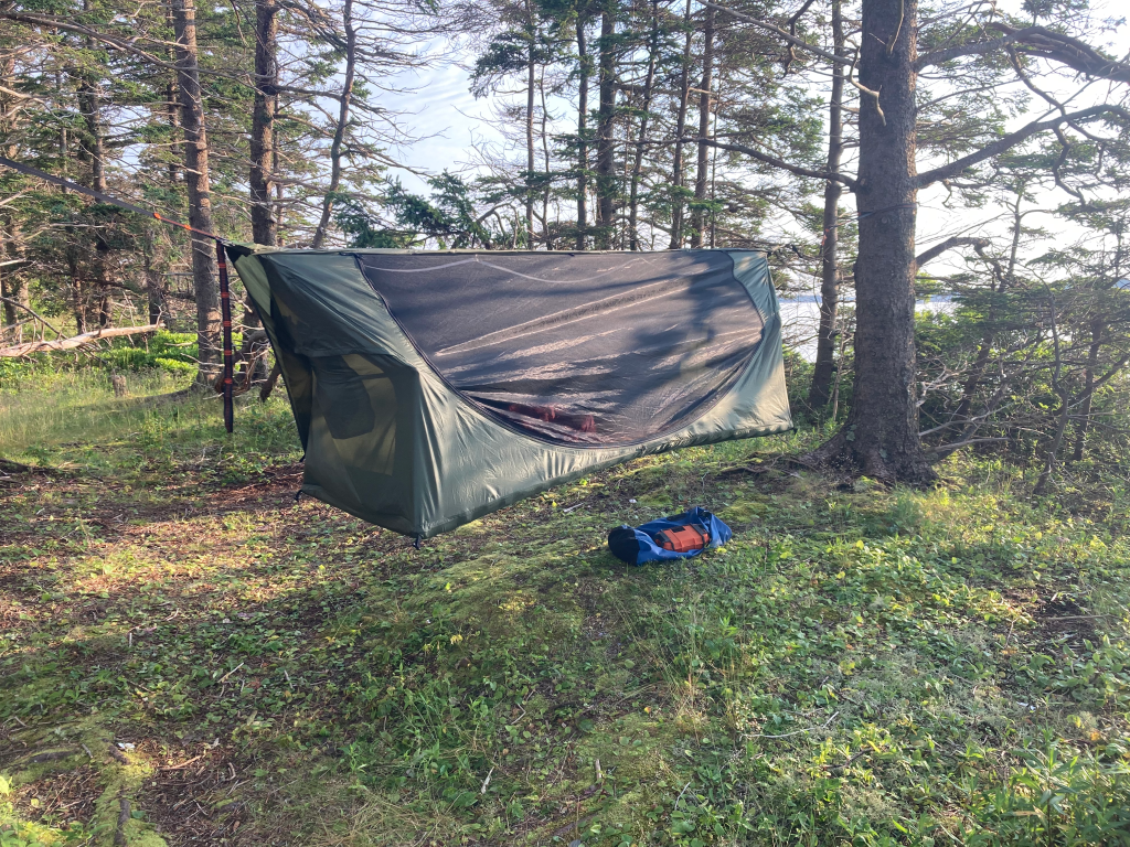 Haven XL in morning sun with the fly aside