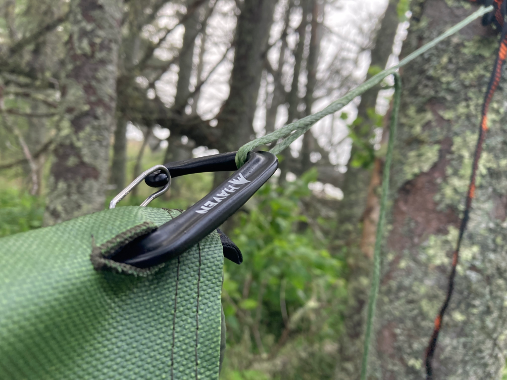 Haven XL connected to tree